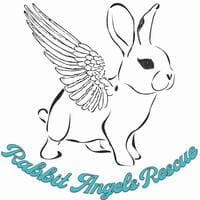 Proceeds Benefit Rabbit Angels Rabbit Rescue